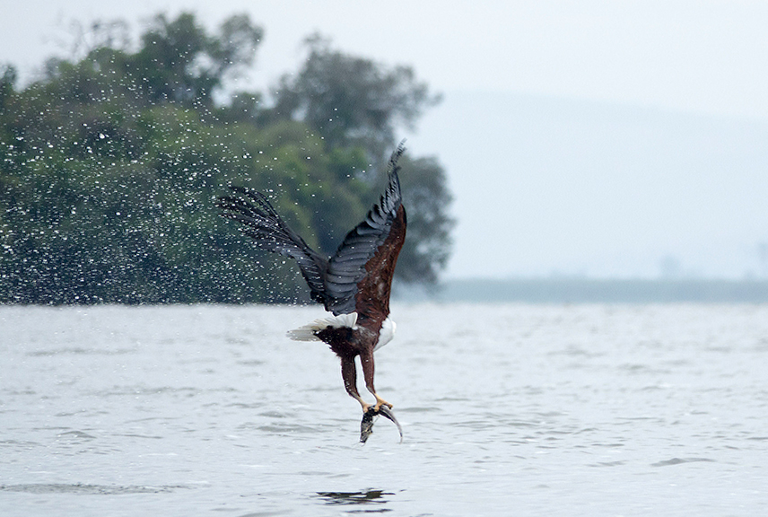 lakemburo.Destination